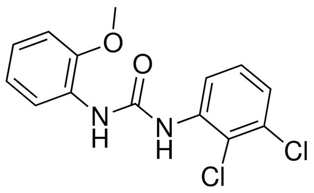 1-(2,3-DICHLOROPHENYL)-3-(2-METHOXYPHENYL)UREA