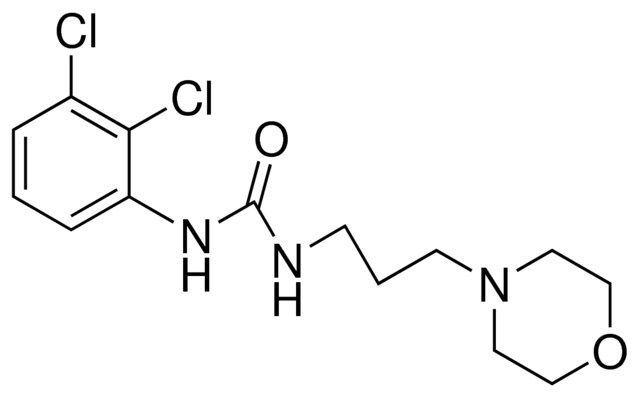 1-(2,3-DICHLOROPHENYL)-3-(3-MORPHOLINOPROPYL)UREA