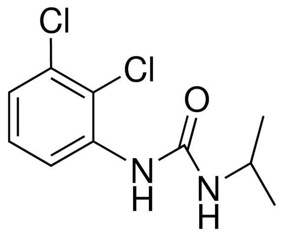 1-(2,3-DICHLOROPHENYL)-3-ISOPROPYLUREA