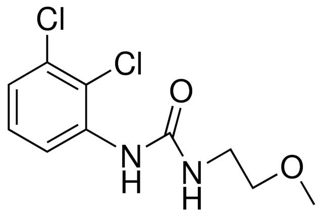 1-(2,3-DICHLOROPHENYL)-3-(2-METHOXYETHYL)UREA