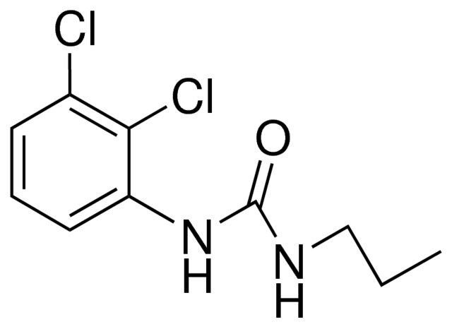 1-(2,3-DICHLOROPHENYL)-3-PROPYLUREA