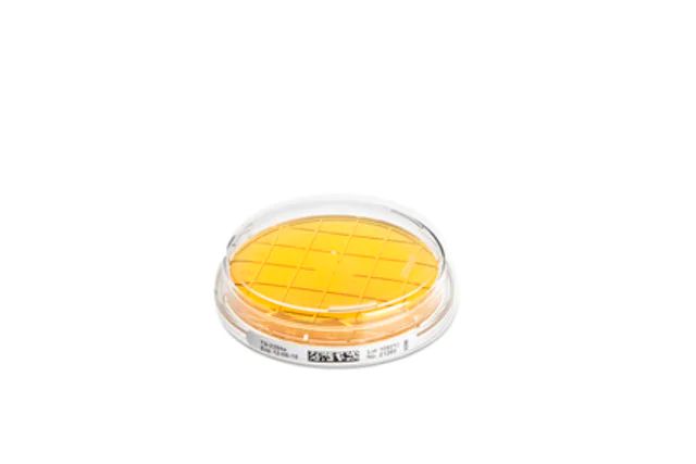 Malt Extract Agar Contact