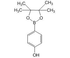 4-(4,4,5,5-Tetramethyl-1,3,2-dioxaborolan-2-yl)phenol