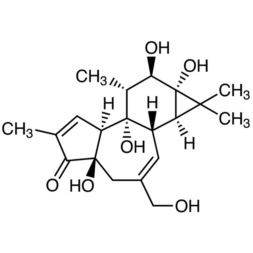 Phorbol