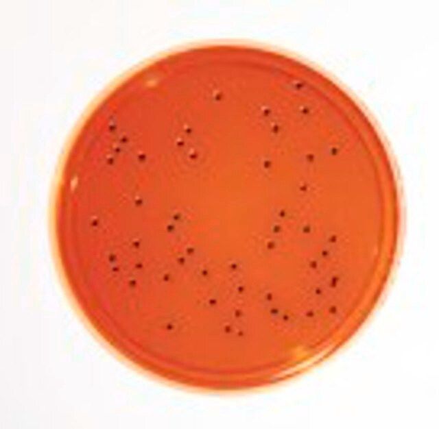 XLD Agar-LI EP+USP 30ml