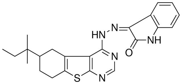 (3Z)-1H-INDOLE-2,3-DIONE 3-[(6-TERT-PENTYL-5,6,7,8-TETRAHYDRO[1]BENZOTHIENO[2,3-D]PYRIMIDIN-4-YL)HYDRAZONE]