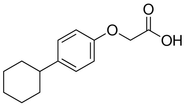 (4-CYCLOHEXYL-PHENOXY)-ACETIC ACID