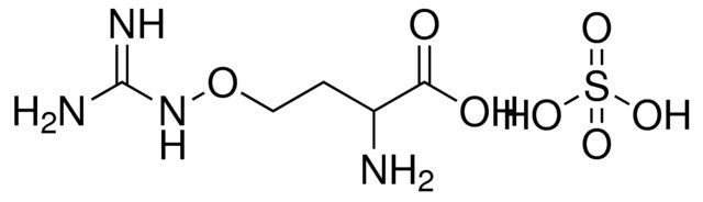 O-{[AMINO(IMINO)METHYL]AMINO}HOMOSERINE COMPOUND WITH SULFURIC ACID