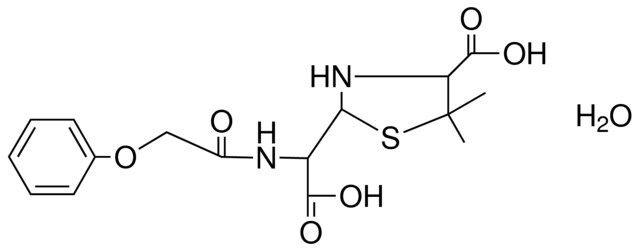 (+)-(PHENOXYMETHYL)PENICILLOIC ACID HYDRATE