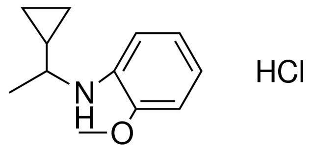 (1-CYCLOPROPYL-ETHYL)-(2-METHOXY-PHENYL)-AMINE, HYDROCHLORIDE