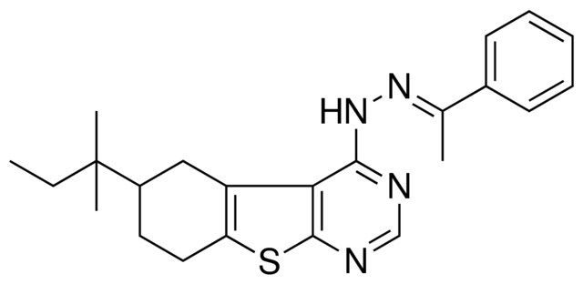 (1E)-1-PHENYLETHANONE (6-TERT-PENTYL-5,6,7,8-TETRAHYDRO[1]BENZOTHIENO[2,3-D]PYRIMIDIN-4-YL)HYDRAZONE