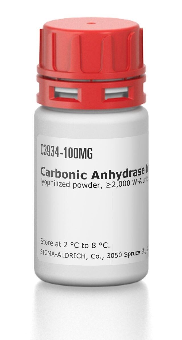 Carbonic Anhydrase from bovine erythrocytes