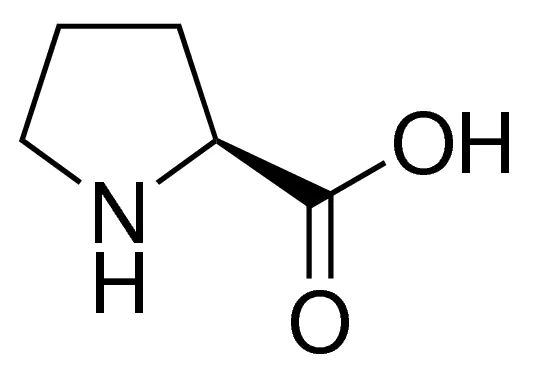 <sc>L</sc>-Proline