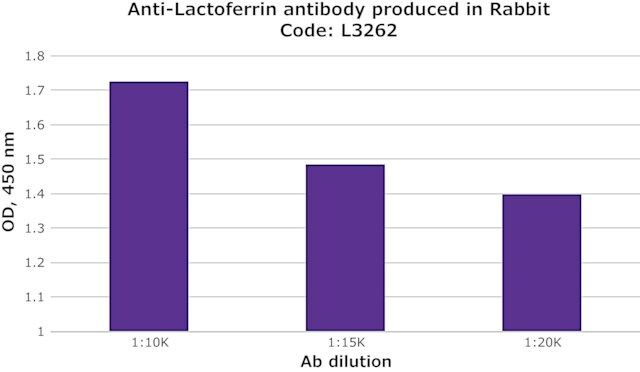 Anti-Lactoferrin antibody produced in rabbit