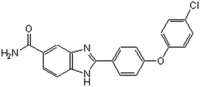 Chk2 Inhibitor II-CAS 516480-79-8-Calbiochem