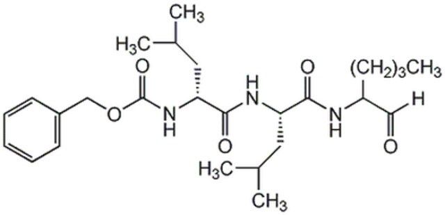 -Secretase Inhibitor I-Calbiochem