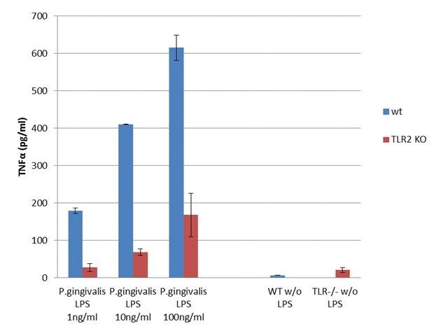 Lipopolysaccharide from Porphyromonas gingivalis