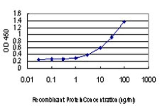 Monoclonal Anti-CHMP2B antibody produced in mouse