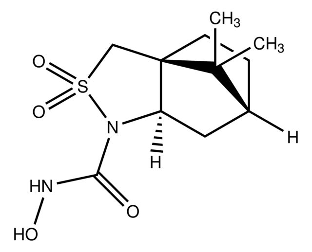 (<i>S</i>,<i>R</i>,<i>R</i>)-Elenor Amination Reagent