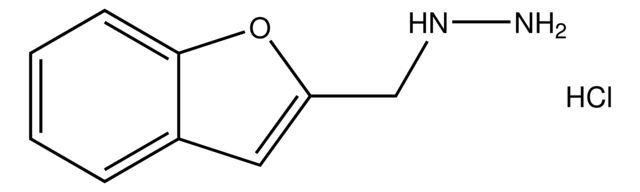 (Benzofuran-2-ylmethyl)hydrazine hydrochloride