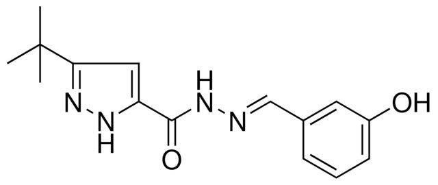 5-TERT-BUTYL-2H-PYRAZOLE-3-CARBOXYLIC ACID (3-HYDROXY-BENZYLIDENE)-HYDRAZIDE