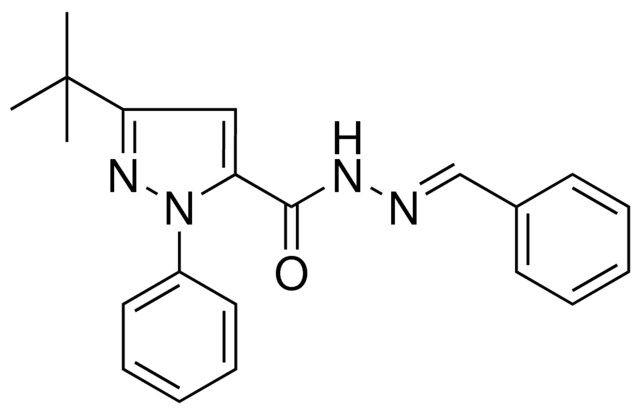 5-TERT-BUTYL-2-PHENYL-2H-PYRAZOLE-3-CARBOXYLIC ACID BENZYLIDENE-HYDRAZIDE