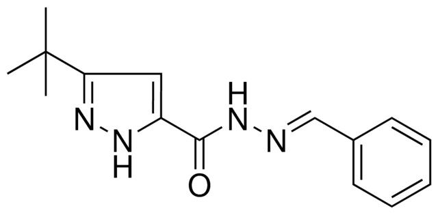 5-TERT-BUTYL-2H-PYRAZOLE-3-CARBOXYLIC ACID BENZYLIDENE-HYDRAZIDE