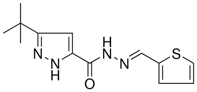 5-TERT-BUTYL-2H-PYRAZOLE-3-CARBOXYLIC ACID THIOPHEN-2-YLMETHYLENE-HYDRAZIDE