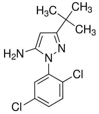 5-tert-Butyl-2-(2,5-dichlorophenyl)-2h-pyrazol-3-ylamine