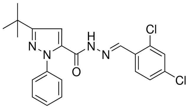 5-TERT-BUTYL-2-PH-2H-PYRAZOLE-3-CARBOXYLIC ACID (2,4-DI-CL-BENZYLIDENE)HYDRAZIDE