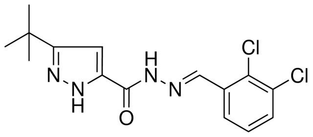 5-TERT-BUTYL-2H-PYRAZOLE-3-CARBOXYLIC ACID (2,3-DICHLORO-BENZYLIDENE)-HYDRAZIDE