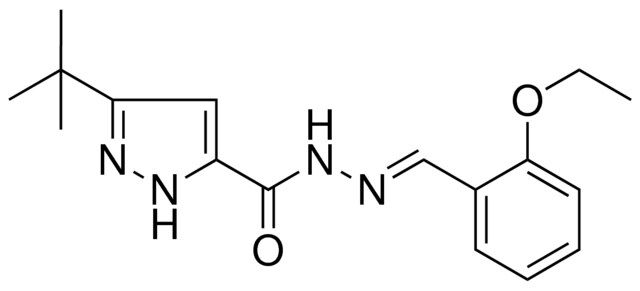 5-TERT-BUTYL-2H-PYRAZOLE-3-CARBOXYLIC ACID (2-ETHOXY-BENZYLIDENE)-HYDRAZIDE