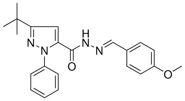 5-TERT-BUTYL-2-PH-2H-PYRAZOLE-3-CARBOXYLIC ACID (4-METHOXY-BENZYLIDENE)HYDRAZIDE