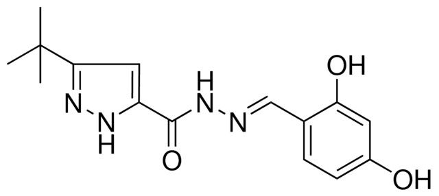 5-TERT-BUTYL-2H-PYRAZOLE-3-CARBOXYLIC ACID (2,4-DIHYDROXY-BENZYLIDENE)-HYDRAZIDE