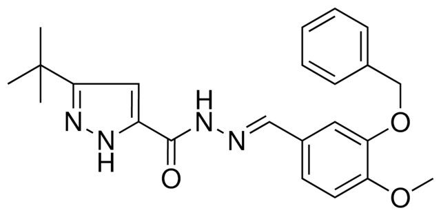 5-TERT-BU-2H-PYRAZOLE-3-CARBOXYLIC ACID (3-BENZYLOXY-4-MEO-BENZYLIDENE)HYDRAZIDE