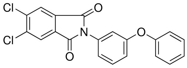 5,6-DICHLORO-2-(3-PHENOXY-PHENYL)-ISOINDOLE-1,3-DIONE