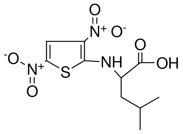 2-(3,5-DINITRO-THIOPHEN-2-YLAMINO)-4-METHYL-PENTANOIC ACID