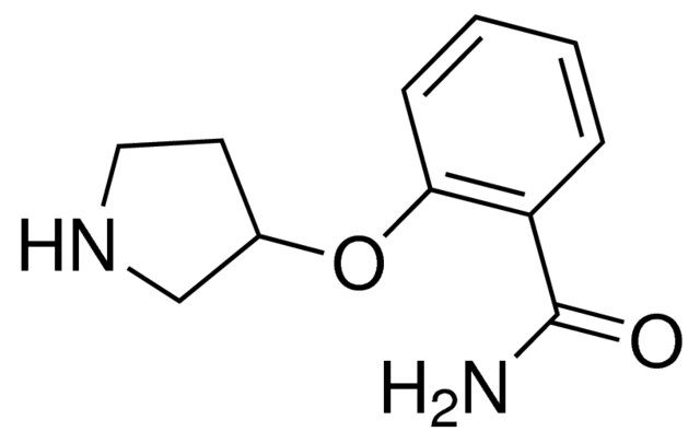 2-(3-pyrrolidinyloxy)benzamide