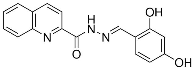 QUINOLINE-2-CARBOXYLIC ACID (2,4-DIHYDROXY-BENZYLIDENE)-HYDRAZIDE