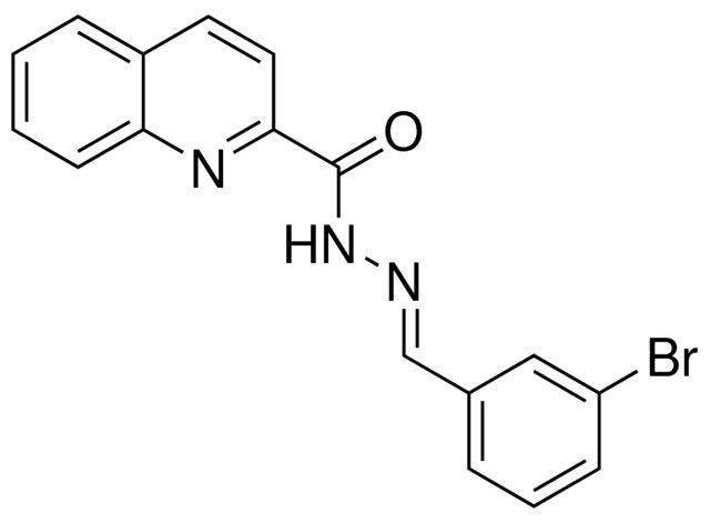 QUINOLINE-2-CARBOXYLIC ACID (3-BROMO-BENZYLIDENE)-HYDRAZIDE