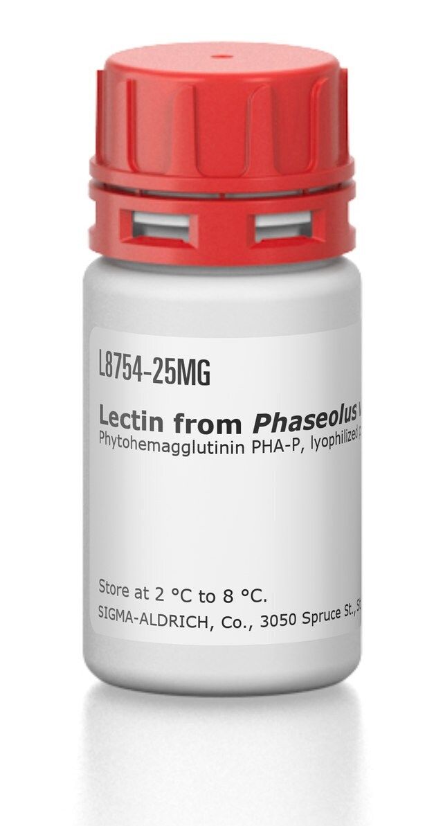 Lectin from <i>Phaseolus vulgaris</i> (red kidney bean)