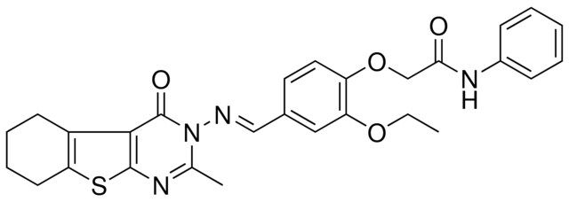 2-(2-ETHOXY-4-{(E)-[(2-METHYL-4-OXO-5,6,7,8-TETRAHYDRO[1]BENZOTHIENO[2,3-D]PYRIMIDIN-3(4H)-YL)IMINO]METHYL}PHENOXY)-N-PHENYLACETAMIDE