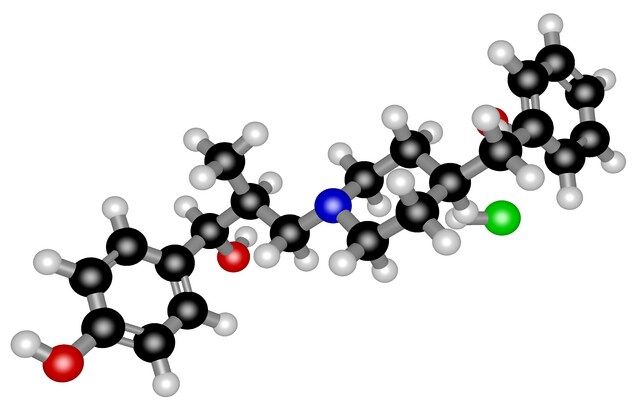 Ro 25-6981 hydrochloride hydrate