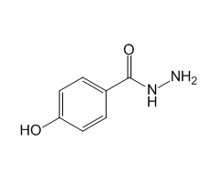 4-Hydroxybenzhydrazide