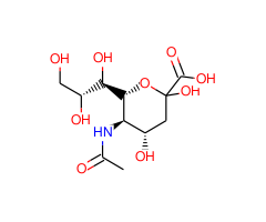 N-Acetylneuraminic Acid